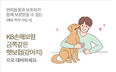 펫-보험-가격