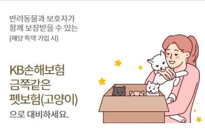 고양이-보험-가격