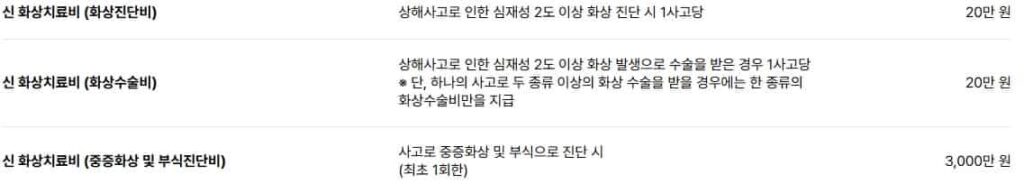 화상보험-보장범위