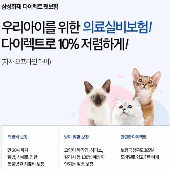 보험사별-강아지보험-비교