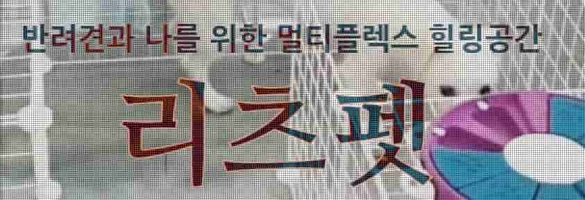 애견카페-창업비용-순수익-월매출